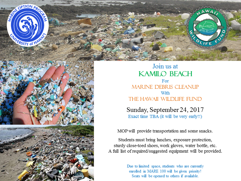 Kamilo Beach Cleanup