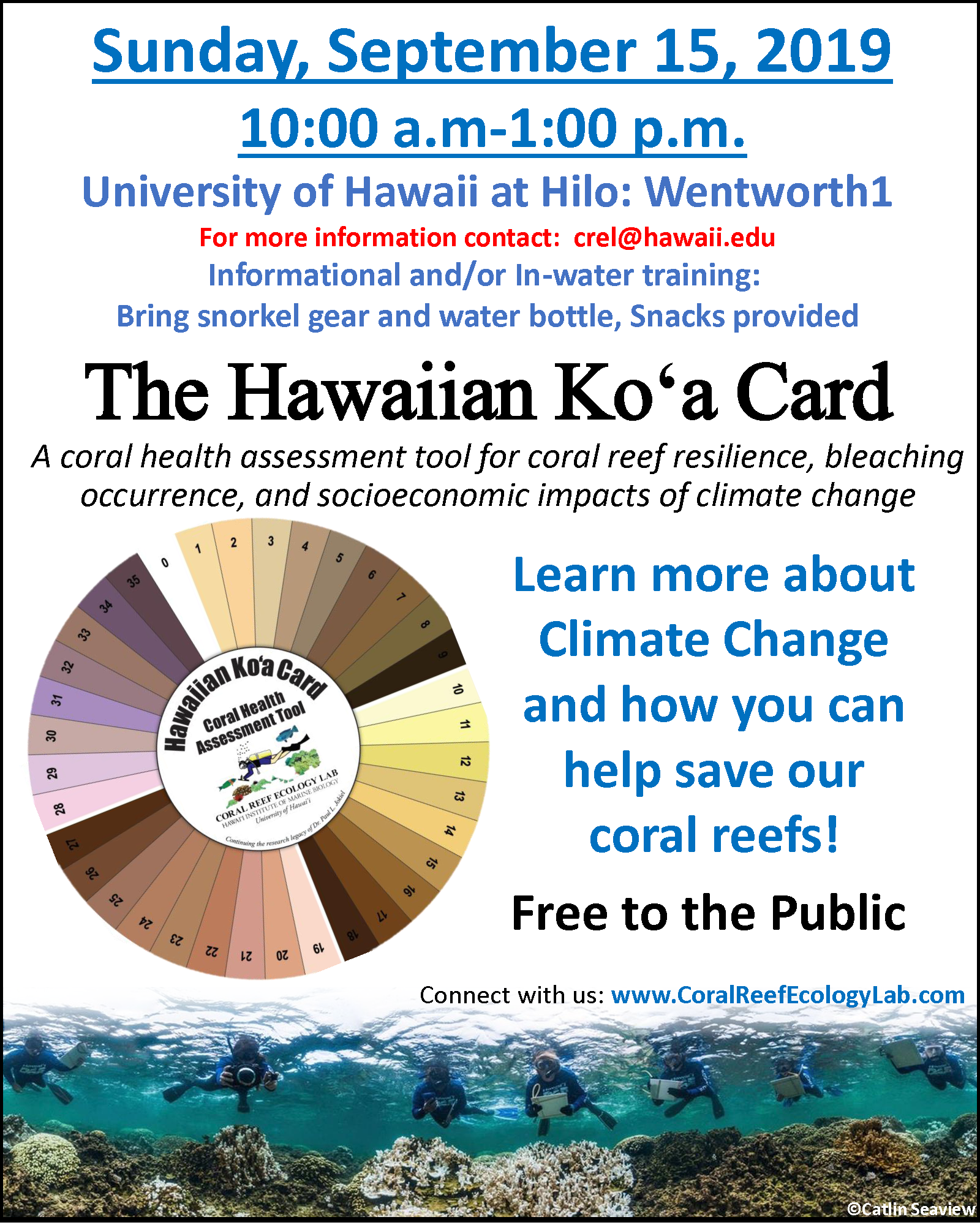 Hawaiian Koa Coral Card Flyer
