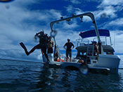 SeaSTARS Hilo Bay Assessment