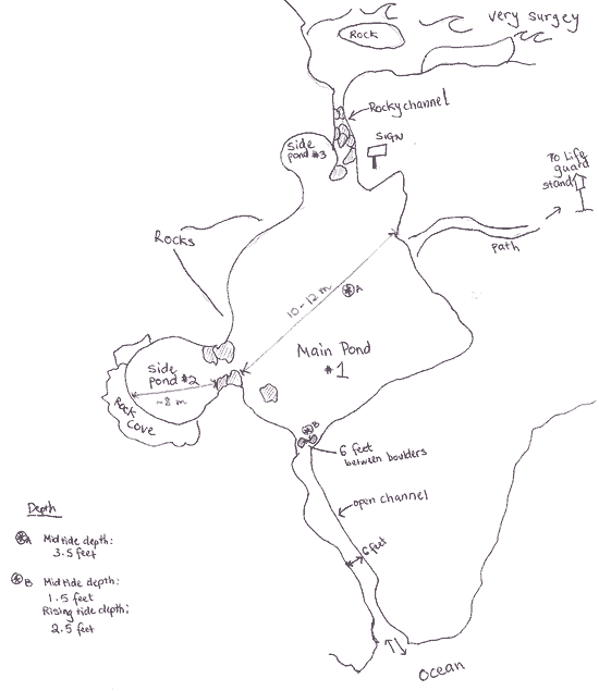 Map of back tidepools of Richardson's Beach