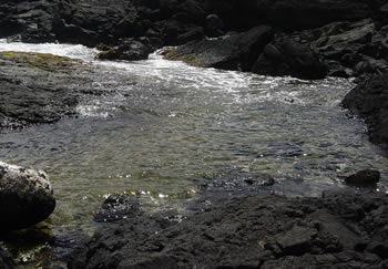 Tide pool entry point